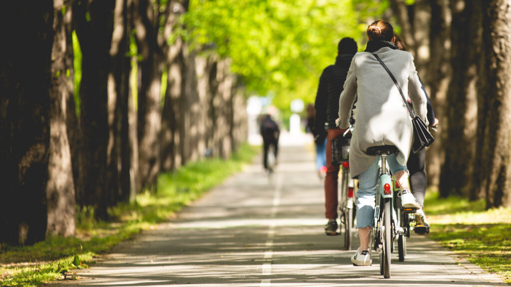 Cyclistes sur une piste cyclable ombragée bordée d'arbres illustrant la mobilité douce en ville