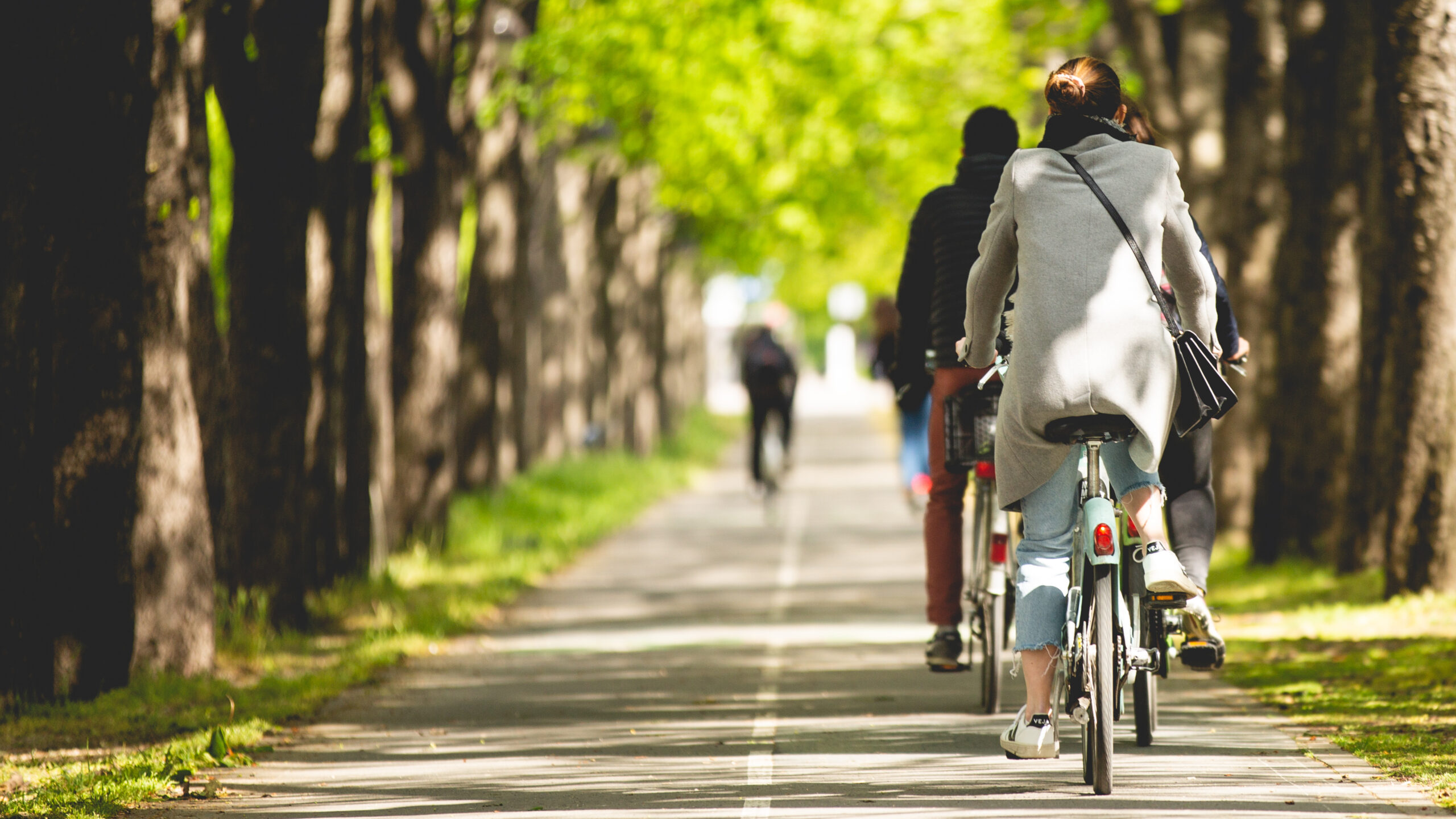 Cyclistes sur une piste cyclable ombragée bordée d'arbres illustrant la mobilité douce en ville