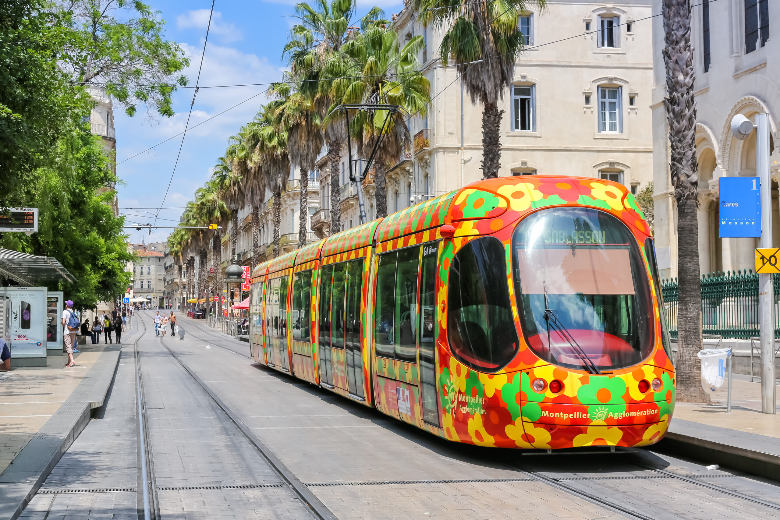 Tramway coloré à motifs floraux circulant dans une avenue bordée de palmiers à Montpellier
