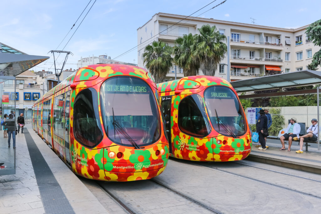 Deux tramways colorés à motifs floraux de la ligne TaM en station à Montpellier
